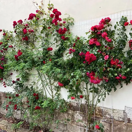 Willa Dornroeschen Hofgeismar