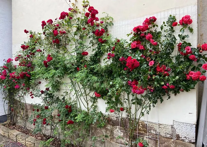 Villa Dornröschen Hofgeismar